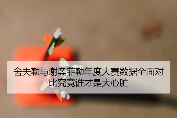 舍夫勒与谢奥菲勒年度大赛数据全面对比究竟谁才是大心脏